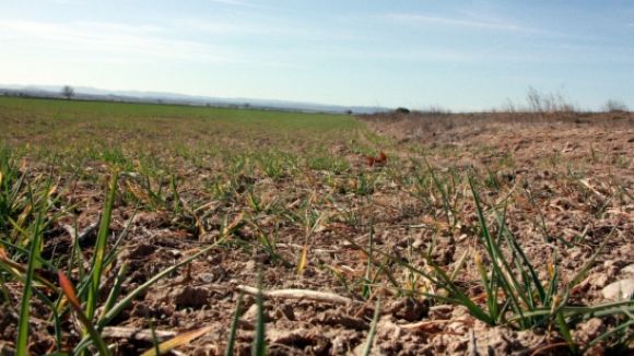 Quan la investigació és vital per protegir la salut de l’emergència climàtica