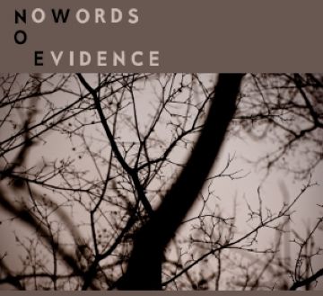 L'actuació de No words no evidence arriba a Cugat tv