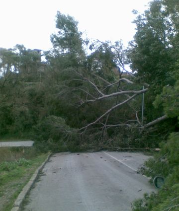 Les línies 3, 4 i 5 d'autobusos municipals ja funcionen amb normalitat