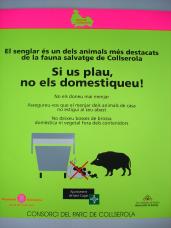 L'Ajuntament edita cartells per evitar que la gent doni menjar als senglars