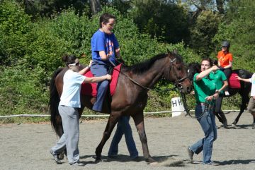 Ricard Bahí: 'La hipoteràpia aconsegueix que els nens impulsius aprenguin a tenir cura de l'animal'