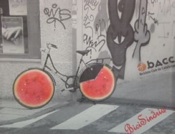 La Bicisíndria és tot un èxit