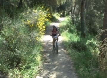 Es posa a debat l'ús de la bicicleta al Parc Natural de Collserola