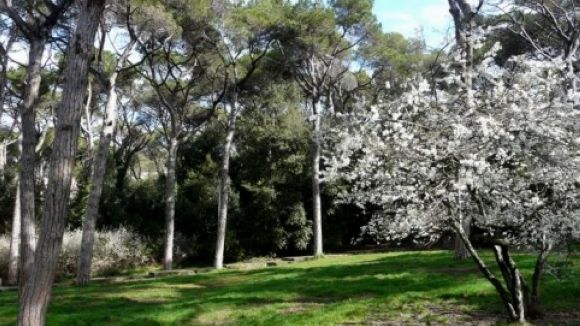 El ministeri preveu la MAT Collserola com a projecte a partir del 2020