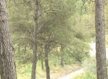 Marià Martí: 'Les traves que hi ha són dins la Generalitat, per tant no sabem més'