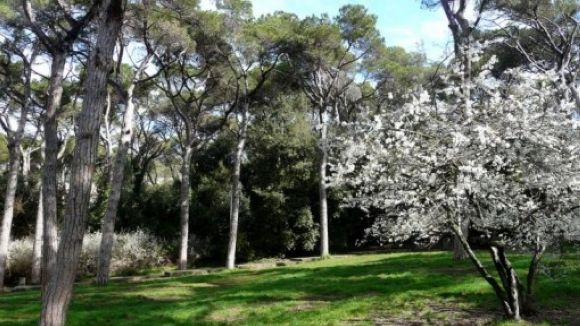 La Plataforma Cívica per la defensa de Collserola demana que no es legalitzin les cases de Can Borrull