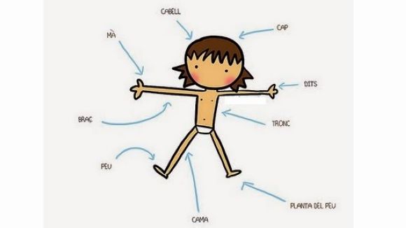 Vocabulari relacionat amb el cos humà i malalties o afeccions menors, al SAF