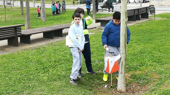 Sant Cugat acull aquest dimecres l'acte central del dia de l'educació física