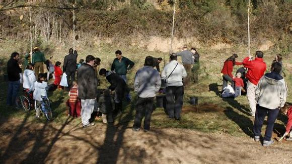 El 9è Dia de l'Arbre proposa una plantació als jardins del Casino de la Floresta