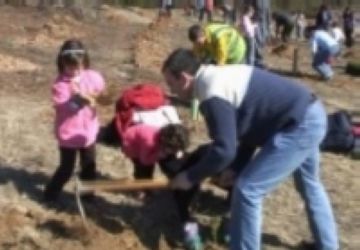 2009: Plantada d'arbres al Turó de Can Camps