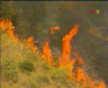 1994: Devastador incendi a la Floresta i les Planes