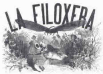 1887: La fil·loxera arriba a Sant Cugat