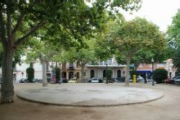 2005: Mor un dels històrics plataners de la plaça de Barcelona