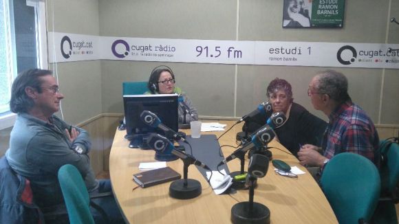 El cas del gat africà, a l'espai 'Gat i gos' del magazín