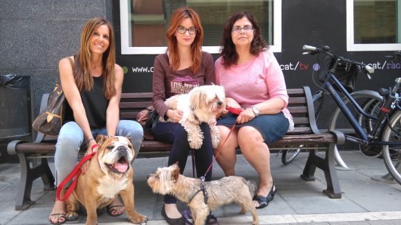 L'espai 'Gat i gos' parla amb famílies que han adoptat gossos vells o malalts