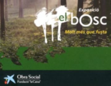 Berta Muelas: 'La veritat és que la resposta ha estat molt positiva'