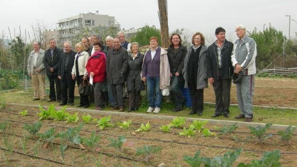 Les entitats que ho desitgin podran optar a gestionar horts urbans