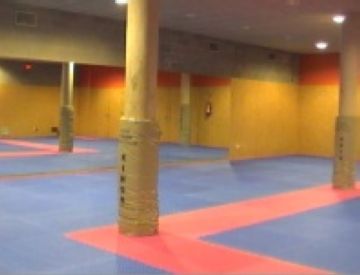 Esports busca una solució per ubicar les arts marcials