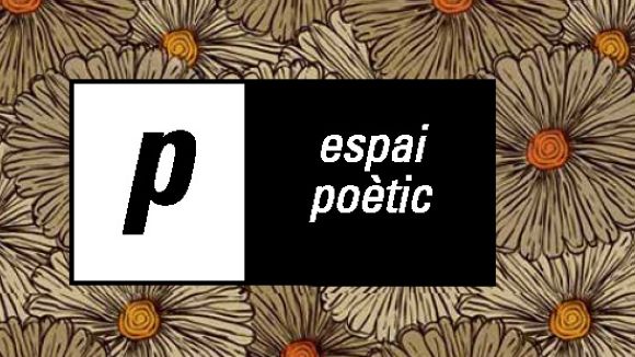 Joan Tres i Eduard Sanahuja parlen de poesia a l'espai de literatura del SAF