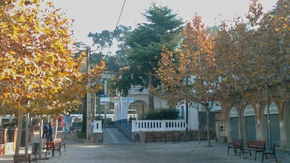 El Senglar Cultural i l'escola Tretzevents engeguen un concurs per retratar la Floresta