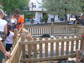 I aquest dimecres al magazín...