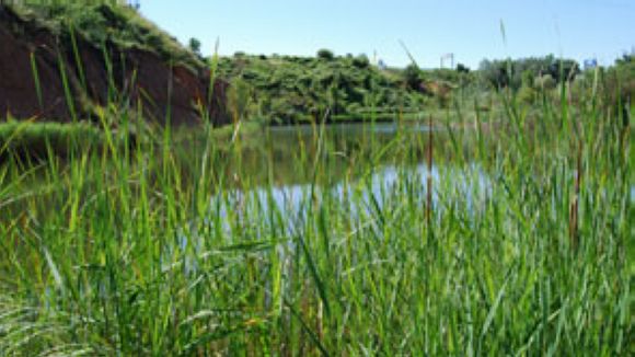 Un foc provocat per una moto causa un petit incendi a l'estany dels Alous