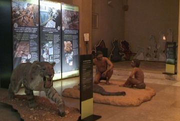 Neus Coromina: 'Intentem que la gent entengui com era Europa fa un milió d'anys'