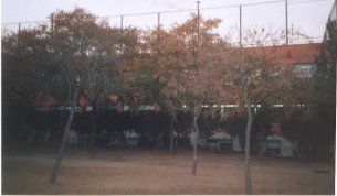 S'inicien les obres de millora dels accessos del Ferran i Clua i de la nova esola bressol