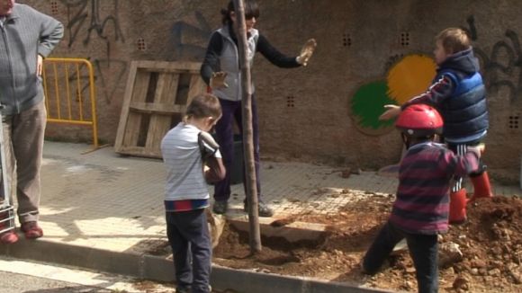 Alt: La Festa de l'Arbre torna a Valldoreix després de 50 anys