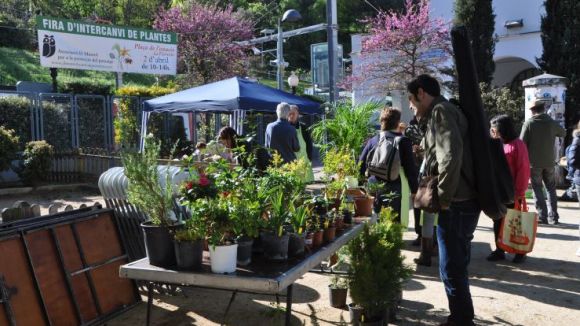 La Fira d'intercanvi de plantes celebra avui la 8a edició a la plaça de l'Estació de La Floresta