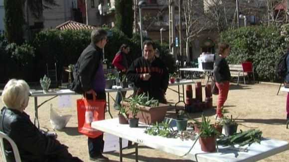 El Mussol difon els beneficis de les plantes autòctones amb una fira