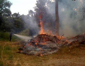 Marc Homedes (Protecció Civil): 'S'han d'apagar les burilles dels cigarrets per evitar incendis'
