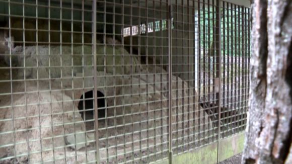 Coneixes la història del Forn Ibèric de Sant Cugat?