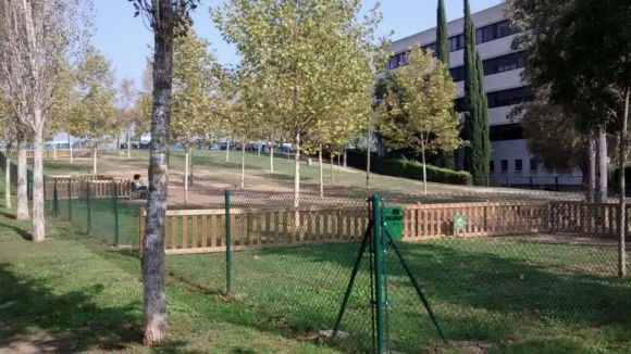 Enllumenat a la zona d'esbarjo de gossos