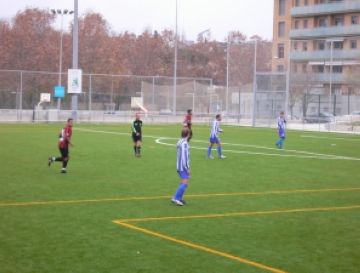 L'Esport Parc Internacional i el 'leasing' de les gespes artificials, grans inversions del 2010