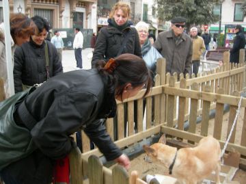 C's proposa habilitar dos nous parcs canins i fer obligatori que els gossos portin xip