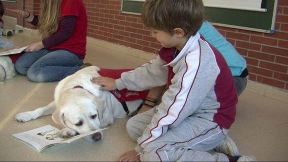 La CUP-PC proposa la creació de la figura de l'agent ciutadà pel benestar animal