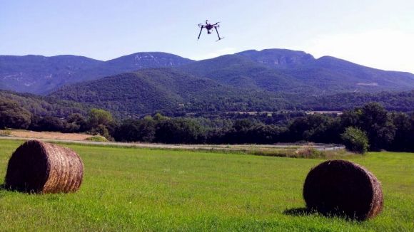 Hemav amplia capital amb tres milions d'euros per créixer en nous mercats