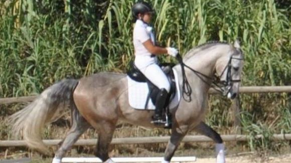 El segon social de doma clàssica de l'Hípica Can Caldés, aquest diumenge