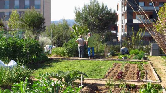 Obertes les inscripcions per optar a un dels horts urbans de Can Mates
