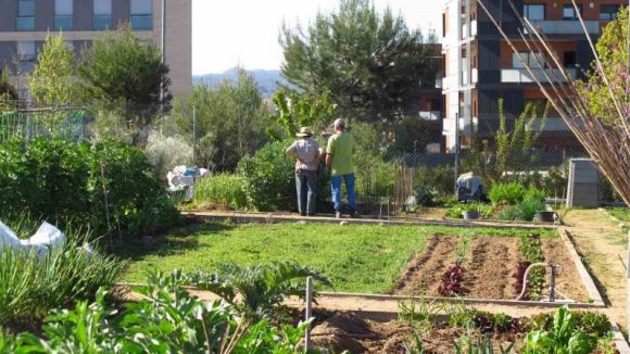 L'Ajuntament obrirà un concurs públic per a les entitats per gestionar nous horts urbans