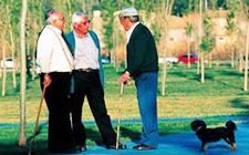 Alt: Ja es poden sol·licitar els 21 horts urbans de Can Mates