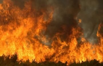Collserola: estem preparats pel gran incendi?