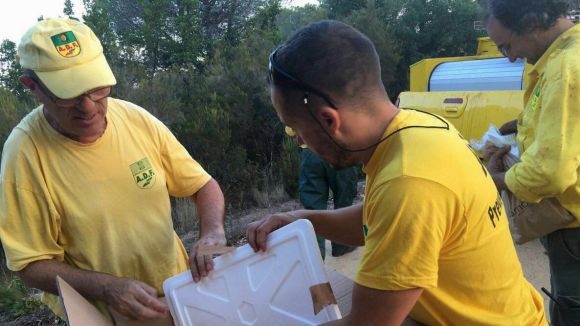 Tres voluntaris de l'ADF de Sant Cugat participen en les tasques de coordinació de l'incendi de Blanes