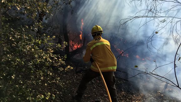 Activat l'INFOCAT en fase d'alerta per l'elevat risc d'incendi