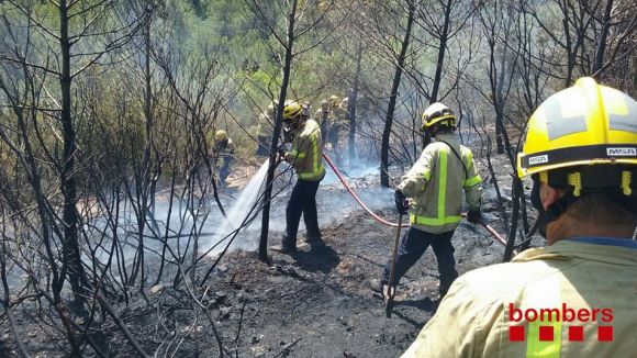 Un incendi forestal crema 744 metres quadrats a la zona de la Colònia Montserrat