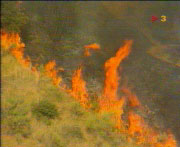 La campanya contra-incendis acaba amb un excel·lent balanç