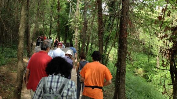 Alt: 'Itineraris de Natura' dóna a conèixer la flora i la fauna de Valldoreix