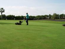 El Gremi de Jardiners alerta que el decret de sequera farà caure un 70% el volum de feina