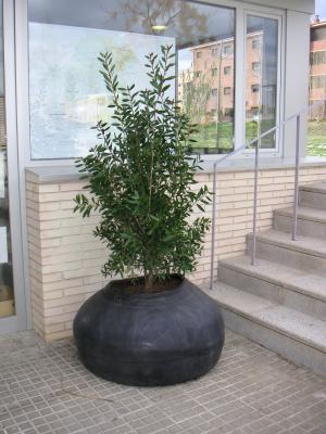 Finalitza amb èxit la prova pilot amb jardineres de cautxú reciclat